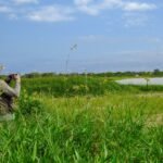 man and woman kissing on green grass field during daytime